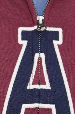 Ανδρικά Με φερμουάρ Μπλούζα GAP μοβ, -Gap Κατάστημα unnamed file 302